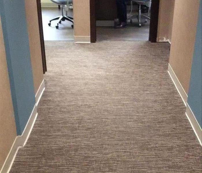 Dry Carpet in Greenville Office